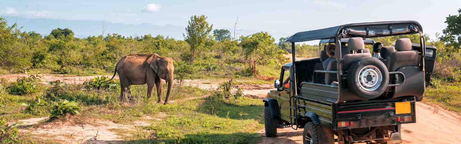 Yala National Park