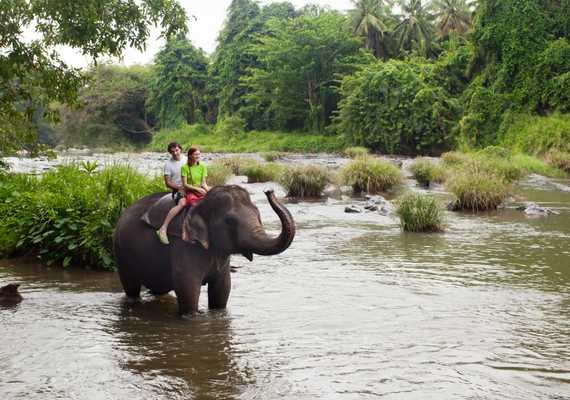 Day 4: Ritigala Forest Monastery / Elephant Trail Safari 